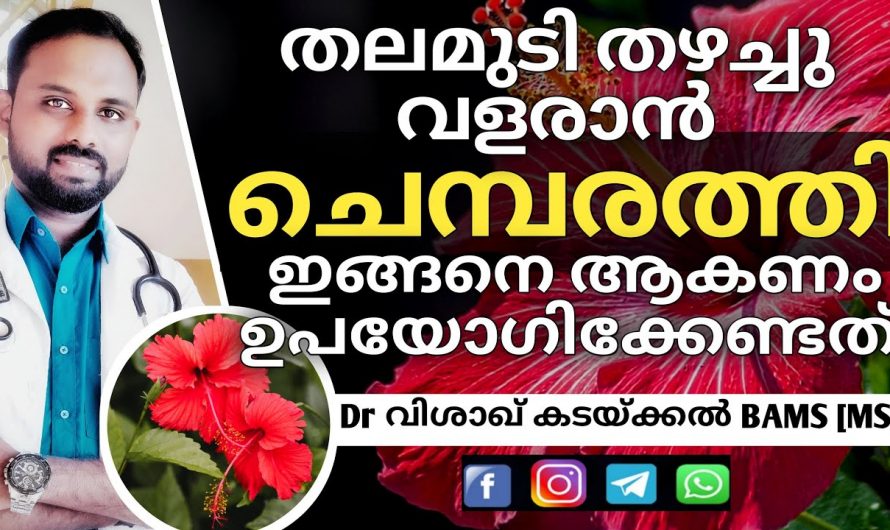 മുടി സംരക്ഷിക്കുവാൻ ഇതിലും നല്ല മാർഗം വേറെയില്ല.