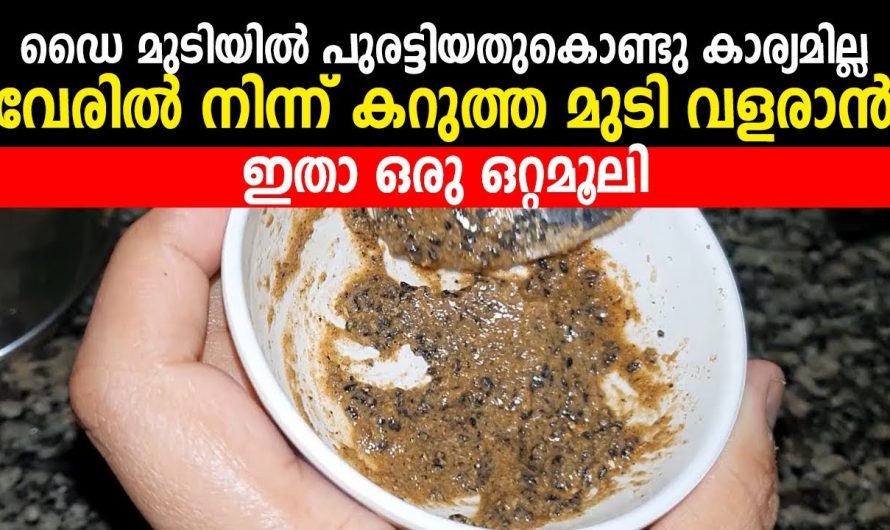 മുടിയിലെ നര പരിഹരിച്ച് മുടിയെ സംരക്ഷിക്കാൻ.