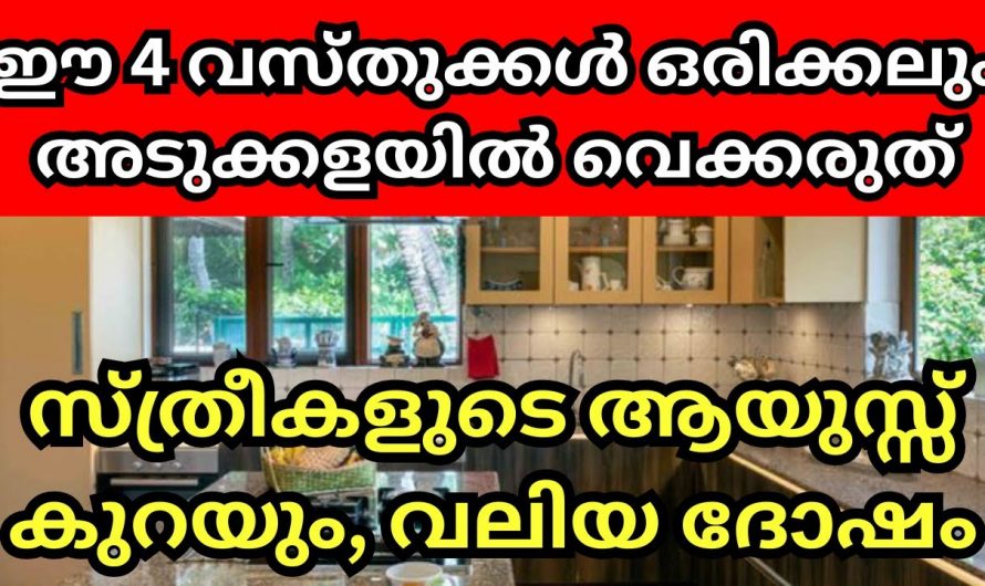 ഇത്തരം കാര്യങ്ങൾ അടുക്കളയിൽ ഒരിക്കലും ഉണ്ടാകരുത്…