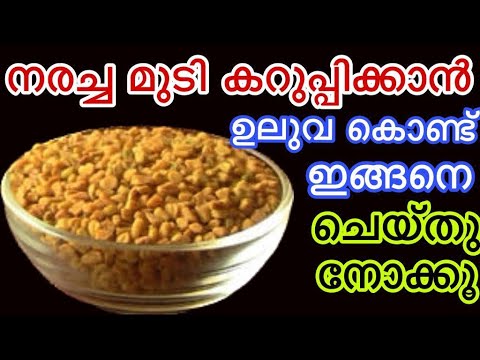 മുടിയുടെ നരയ്ക്ക് കിടിലൻ പരിഹാരം… 👌