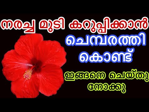 മുടിനര പരിഹരിക്കുന്നതിനും വരാതിരിക്കാനും… 👌