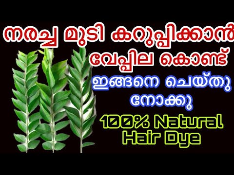വീട്ടിൽ വേപ്പില ഉണ്ടോ എങ്കിൽ മുടി പെട്ടെന്ന് കറുപ്പിക്കാം🙄