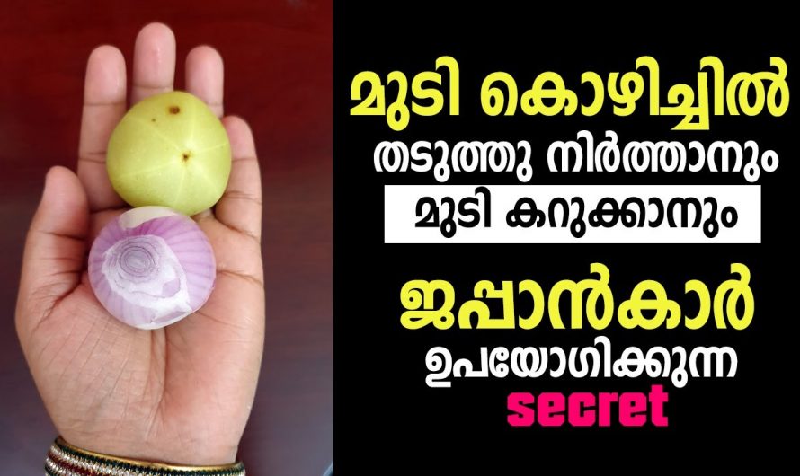 ആരെയും ആകർഷിക്കുന്ന മുടിയിഴകൾ ലഭിക്കുന്നതിന്..🥰