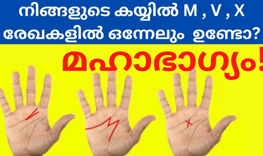 നിങ്ങളുടെ കൈകളിൽ രേഖകൾ നോക്കി ഭാഗ്യം പ്രവചിക്കാം. 👌