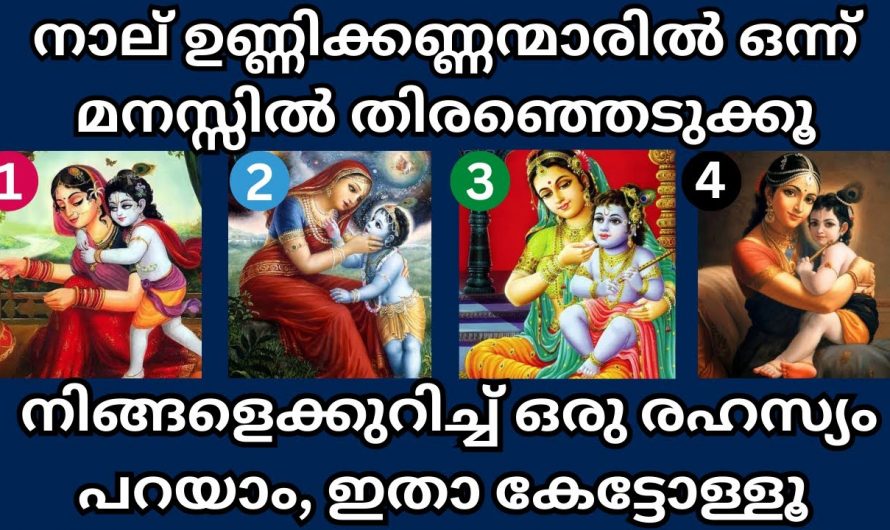 ഈ നാലു ഉണ്ണികണ്ണമാരിൽ ഒന്ന്  തെരഞ്ഞെടുക്കു നിങ്ങളുടെ ജീവിതത്തെക്കുറിച്ചുള്ള രഹസ്യം മനസ്സിലാക്കുക…😱