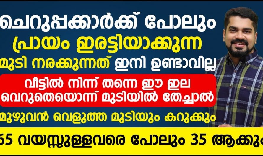 മുടിയിലെ നര ഉള്ളവരാണ് എങ്കിൽ ഈ ഒരു കാര്യം ചെയ്തു നോക്കൂ …