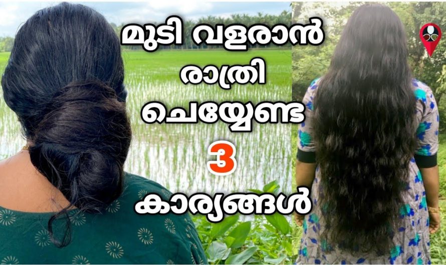 മുടിയിലെ എല്ലാത്തരത്തിലുള്ള പ്രശ്നങ്ങൾക്കും പരിഹാരം കാണുന്നതിന്….