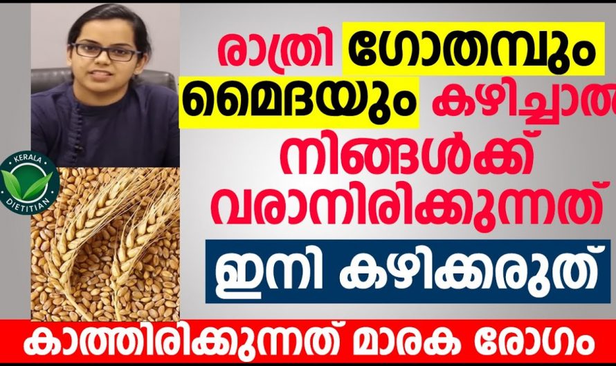 ഗോതമ്പും മൈദയും കഴിക്കുന്നവർ ഇത്തരം കാര്യങ്ങൾ നിർബന്ധമായി അറിഞ്ഞിരിക്കുക..😱