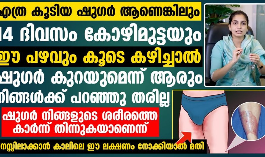 പ്രമേഹ രോഗികൾ ചെയ്യേണ്ട കാര്യങ്ങളും അതോടൊപ്പം തന്നെ കഴിക്കേണ്ട ഭക്ഷണങ്ങളും 😄