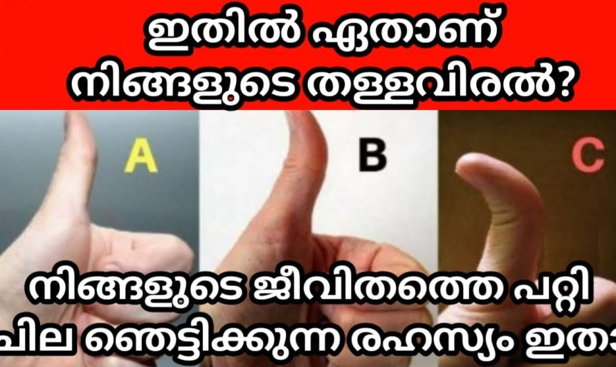 ഈ ചിത്രത്തിൽ ഒന്ന് തെരഞ്ഞെടുക്കു നിങ്ങടെ  ഇനിയുള്ള ജീവിതത്തെക്കുറിച്ച് അറിയാം  🥰 .