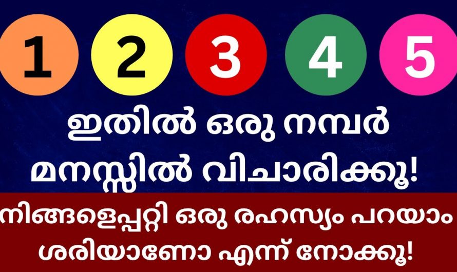 നിങ്ങളുടെ പേഴ്സണാലിറ്റിയെ മനസ്സിലാക്കണം എങ്കിൽ ഒരു കാര്യം ചെയ്തു നോക്കൂ..🥰