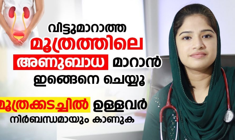 മൂത്രത്തിലെ അണുബാധ പരിഹരിക്കുന്നതിന് ഈയൊരു കാര്യം ശ്രദ്ധിച്ചാൽ മതി..😱