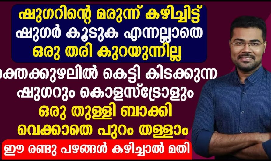 ഷുഗറും കൊളസ്ട്രോളും വളരെ എളുപ്പത്തിൽ പരിഹരിക്കാൻ..👌