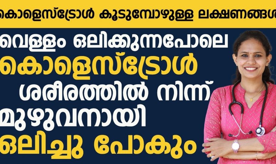 ഇനി ഒന്ന് ചെയ്തു നോക്കൂ കൊളസ്ട്രോൾ ശരീരത്തിൽ നിന്നും മുഴുവനായി പോകും 🤔