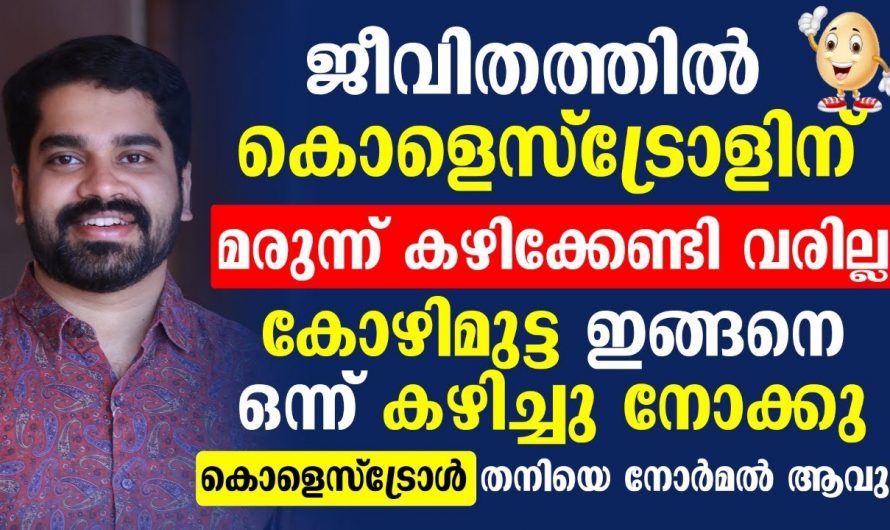 കൊളസ്ട്രോൾ തനിയെ കുറയാൻ കോഴിമുട്ട ഇങ്ങനെ കഴിച്ചാൽ മതി
