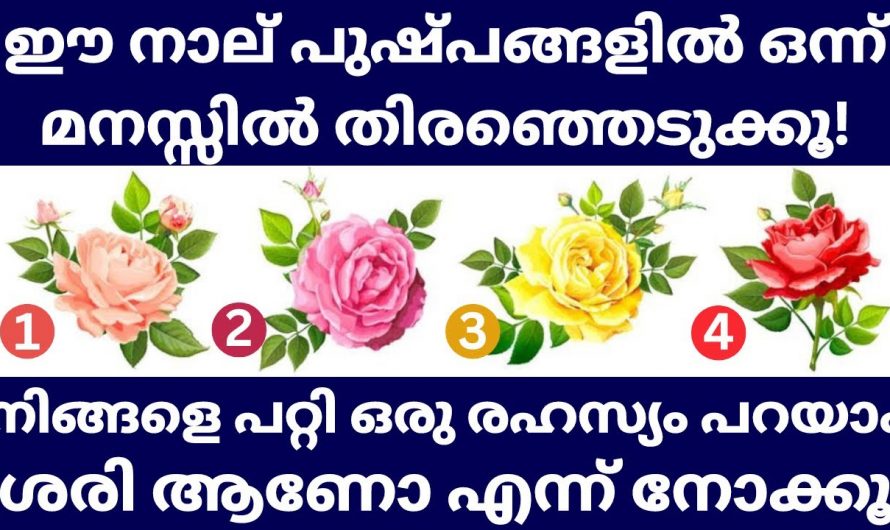 ഈ പുഷ്പങ്ങളിൽ ഒന്ന് തിരഞ്ഞെടുക്കു  ജീവിതത്തിൽ ഇനി വരാൻ പോകുന്നത് മനസ്സിലാക്കുക…🥰