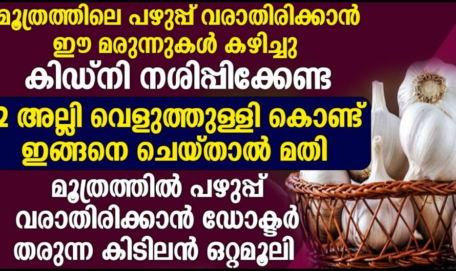 മൂത്രത്തിൽ പഴുപ്പ് പരിഹരിക്കാൻ കിടിലൻ വഴി…😱
