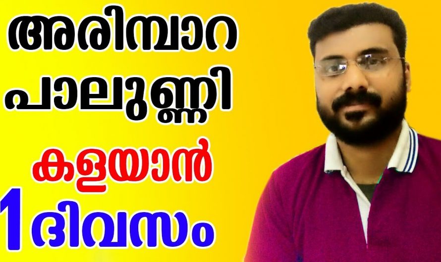 അരിമ്പാറയും പാലുണ്ണിയും പരിഹരിക്കുന്നതിന്…👌