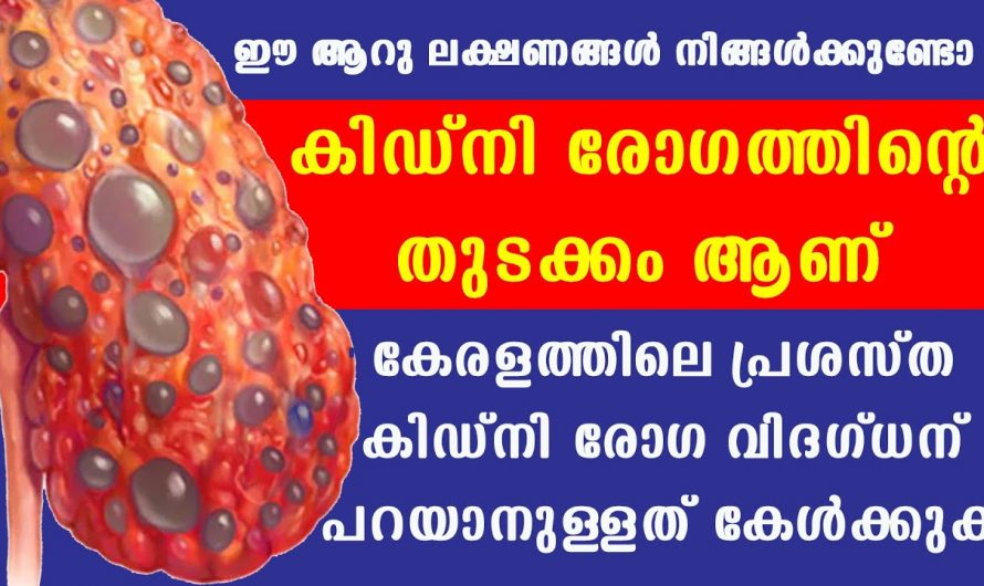 കിഡ്നി രോഗത്തിന് ലക്ഷണങ്ങളും കാരണം..😱