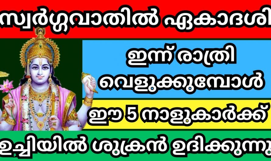 സ്വർഗ്ഗവാതിൽ ഏകാദേശി  കഴിയുന്നതോടുകൂടി ഈ അഞ്ചു നക്ഷത്രങ്ങൾക്ക് സൗഭാഗ്യം വർദ്ധിക്കും..😱