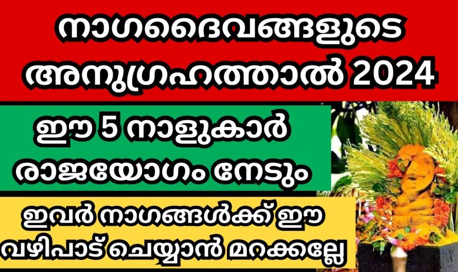 2024 നാഗദൈവങ്ങളുടെ അനുഗ്രഹത്താൽ രക്ഷപ്പെടുന്ന നക്ഷത്രക്കാർ..