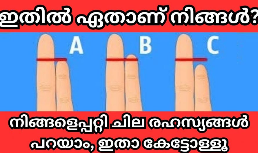 നിങ്ങടെ കൈവിരലുകൾ ഇത്തരത്തിലുള്ളവ യാണെങ്കിൽ നിങ്ങളുടെ ഭാവി പറയാം..😱