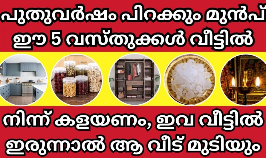 പുതുവർഷത്തിൽ ഈ നാല് കാര്യങ്ങൾ നിർബന്ധമായും ചെയ്തിരിക്കണം..🥰