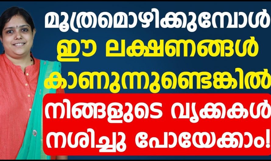 മൂത്രത്തിൽ ഉണ്ടാകുന്ന ഇത്തരം ലക്ഷണങ്ങളെ ഒരിക്കലും അവഗണിക്കരുത്…😱