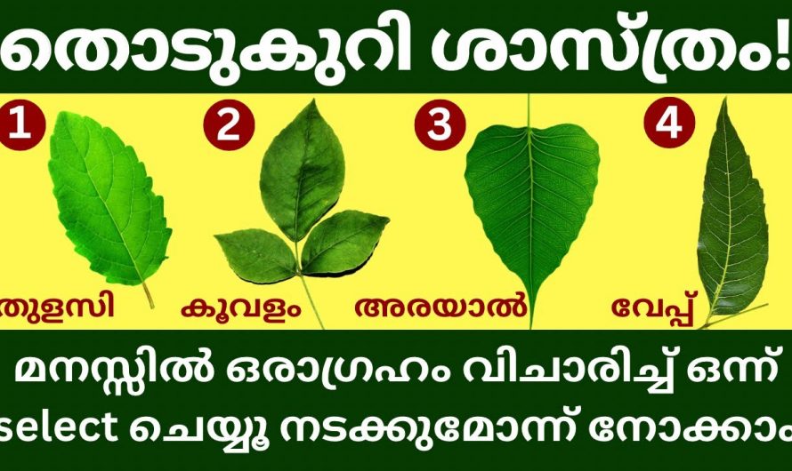 നിങ്ങളുടെ ആഗ്രഹം സാധിക്കുമോ  ഇല്ലയോ എന്നറിയാൻ…😱