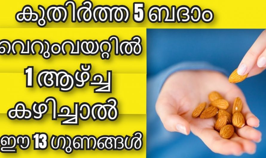 ദിവസം അല്പം ബദാം കഴിച്ചുനോക്കൂ ഗുണങ്ങൾ അറിഞ്ഞാൽ ഞെട്ടിപ്പോകും .