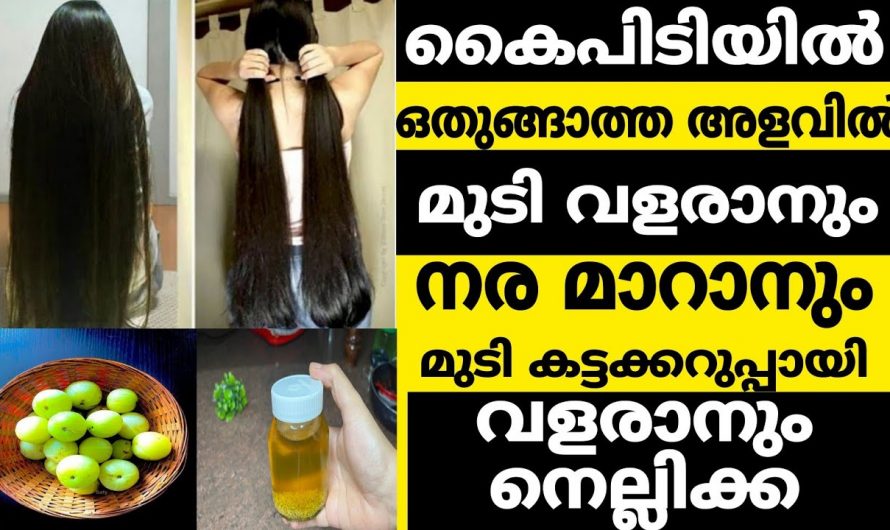 മുടിയുടെ സംരക്ഷിക്കുന്നതിനും മുടിയെ പരിപാലിക്കുന്നതിന്..