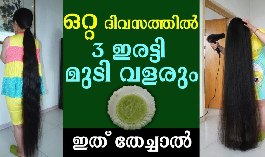 ആഴ്ചയിൽ മൂന്ന് ദിവസം തേച്ചാൽ മതി മുടി തഴച്ചു വളരും👌