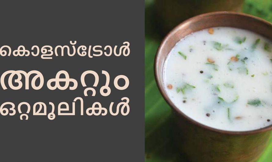 ഇത്തരം ഒറ്റമൂലികൾ കൊളസ്ട്രോളിന് അകറ്റും 🥰