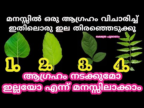 ജീവിതം എങ്ങനെ മുന്നോട്ടു പോകുന്നു എന്നറിയാൻ ഇതിലെ ഏതെങ്കിലും ഒന്ന് തെരഞ്ഞെടുക്കു..😱