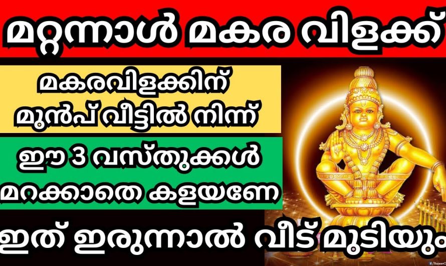 മകര വിളക്കിന് മുമ്പ് വീട്ടിൽനിന്ന് ഈ വസ്തുക്കൾ കളഞ്ഞിരിക്കണം👌