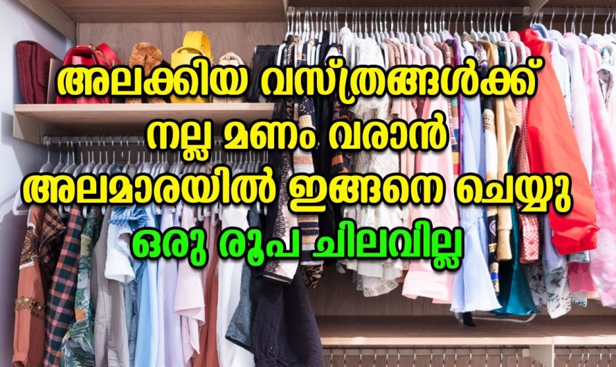 എത്ര പഴകിയ തുണികളും പുത്തൻ പുതിയത് പോലെ ആക്കാം  കിടിലൻ വഴി. 👌