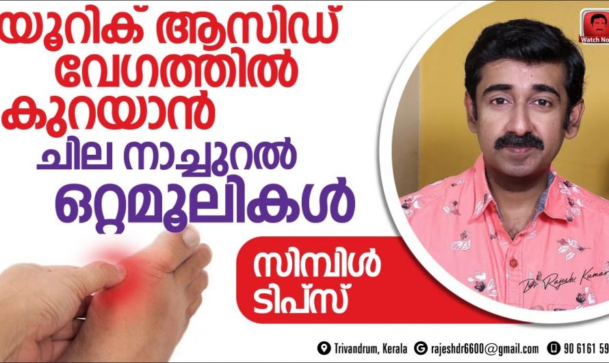 നാച്ചുറൽ ടിപ്സുകൾ ഉപയോഗിച്ചുകൊണ്ട് യൂറിക്കാസിഡ് ശരീരത്തിൽ കുറയ്ക്കാം🥰
