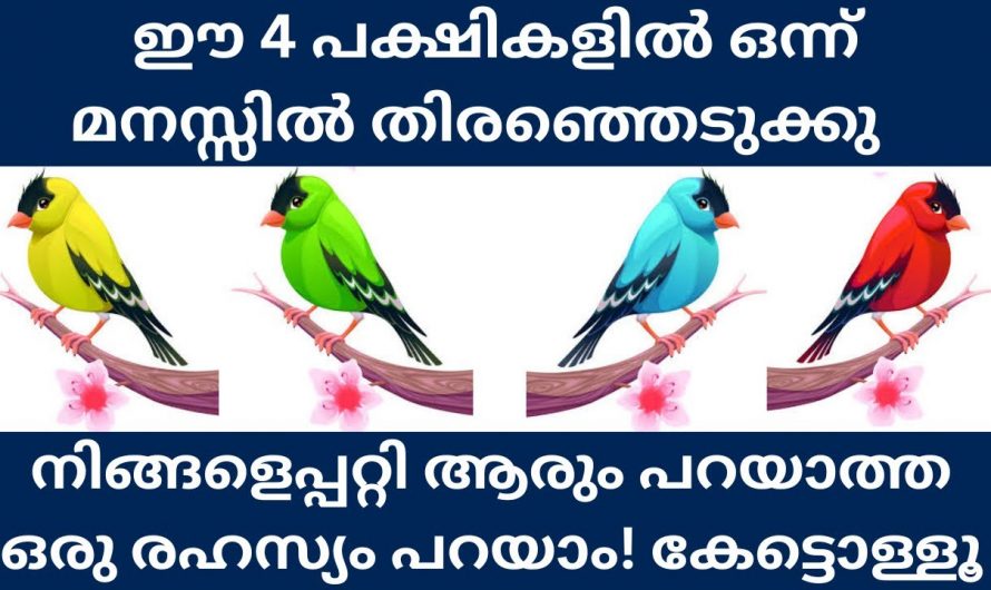 ചിത്രത്തിൽ കാണുന്ന കിളികളിൽ ഒന്നിനെ തിരഞ്ഞെടുക്കുക നിങ്ങളുടെ കുറിച്ചുള്ള രഹസ്യം പറയാം 🤔