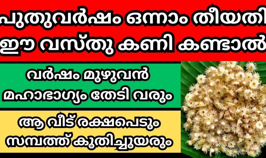 പുതു വർഷത്തിൽ നമ്മുടെ ജീവിതത്തിൽ ഭാഗ്യം കൊണ്ടുവരുന്നതിന് ഇത്തരം കാര്യങ്ങൾ ശ്രദ്ധിക്കുക..🥰