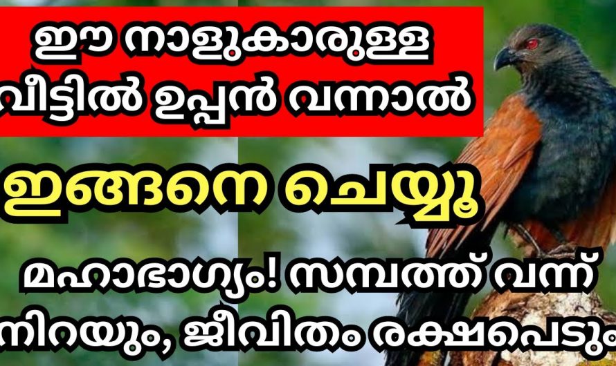 ഈ നാളുകാരുടെയും വീട്ടിൽ ഉപ്പൻ വന്നാൽ സംഭവിക്കുന്നത്…👌