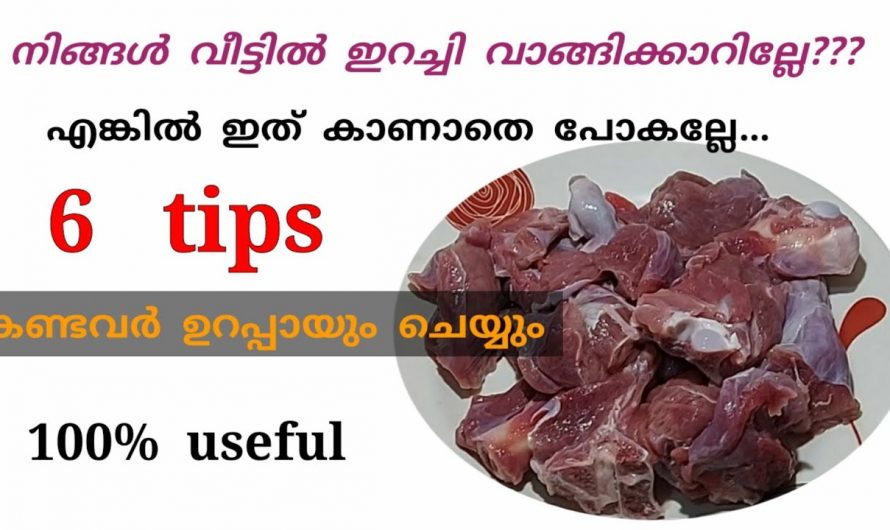 പാചകത്തിനായി ഇറച്ചി വാങ്ങി സ്റ്റോർ ചെയ്യുമ്പോൾ ശ്രദ്ധിക്കേണ്ട കാര്യങ്ങൾ. 👌