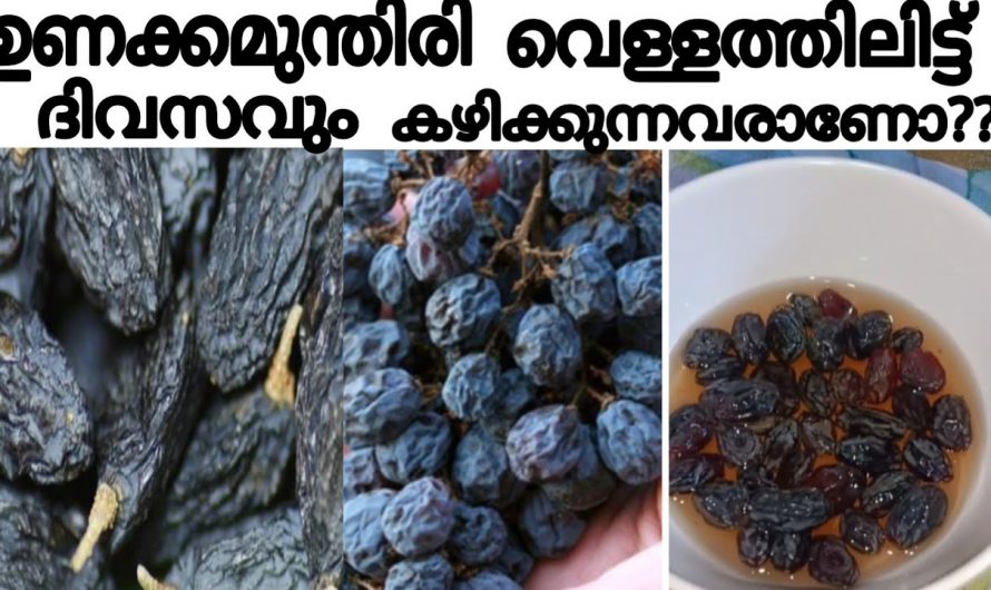 കുട്ടികൾക്കും മുതിർന്നവർക്കും ഒരുപോലെ ഗുണം ചെയ്യുന്ന ഉണക്കമുന്തിരിയുടെ ഞെട്ടിക്കും ഗുണങ്ങൾ. 👌