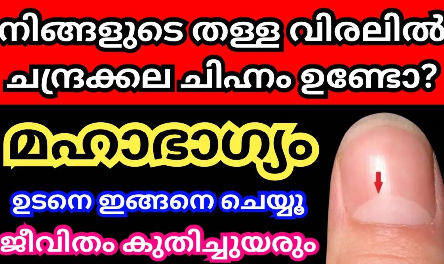 നിങ്ങളുടെ വിരൽ നോക്കി നിങ്ങളുടെ ഭാഗ്യം പ്രവചിക്കാൻ…👌