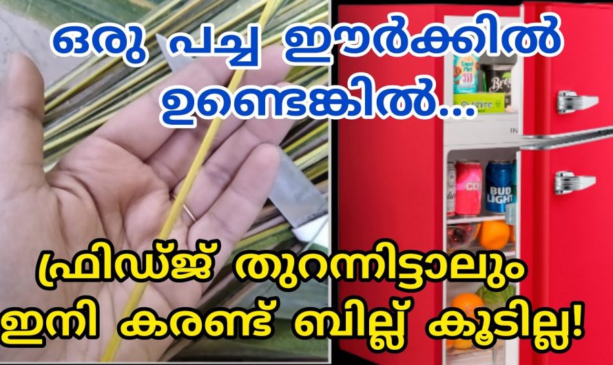 കരണ്ട് ബില്ല് കുറക്കാം  ഇത്തരം കാര്യങ്ങൾ ശ്രദ്ധിക്കുന്നതിലൂടെ..😱