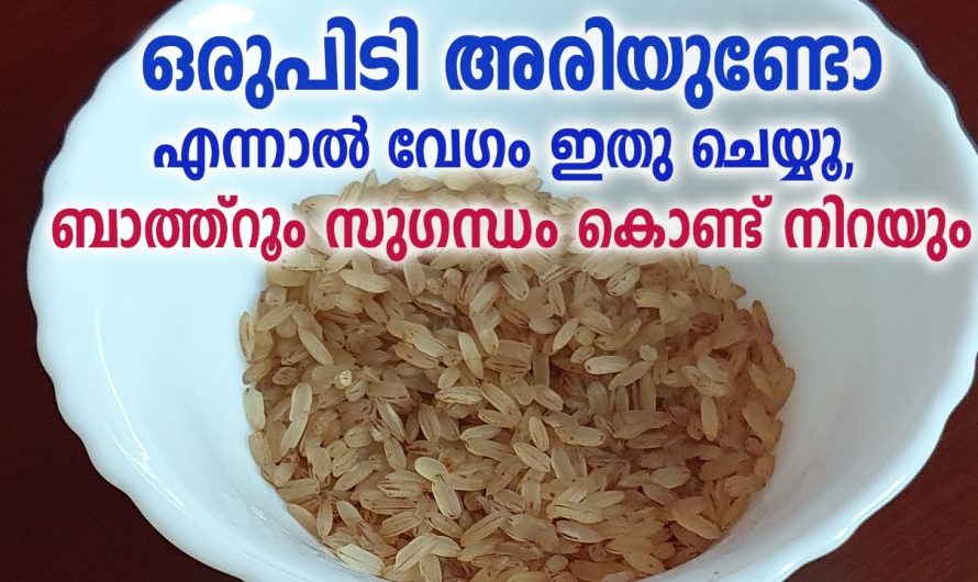 വീടിനുള്ളിലെ ബാത്റൂമിലെയും കിച്ചണിലെയും ചീത്ത മണം ഇല്ലാതാക്കി നറുമണം പകരാൻ.👌