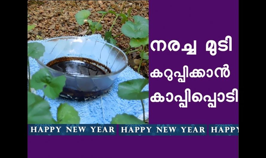 മുടിയിലെ നര പരിഹരിക്കാൻ കിടിലൻ വഴി. 👌