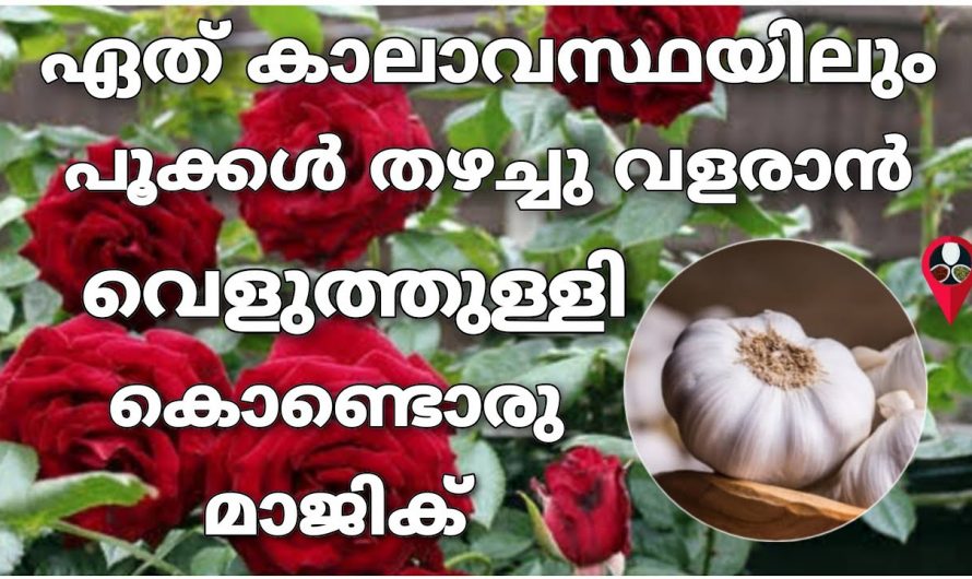 പൂന്തോട്ടം പൂക്കൾ കൊണ്ടു നിറയുന്നതിന്…