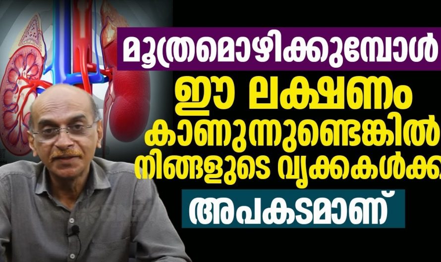 മൂത്രത്തിൽ രക്തം കണ്ടാൽ ഇത്തരം കാര്യങ്ങൾ ഉറപ്പിച്ചോളൂ ചികിത്സിച്ചില്ലെങ്കിൽ പണി കിട്ടും…😱