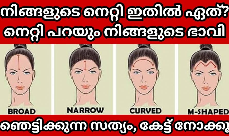 നിങ്ങളുടെ നെറ്റി ഇങ്ങനെയുള്ളതാണ് എങ്കിൽ നിങ്ങളുടെ ഭാവിയെ മനസ്സിലാക്കാം…