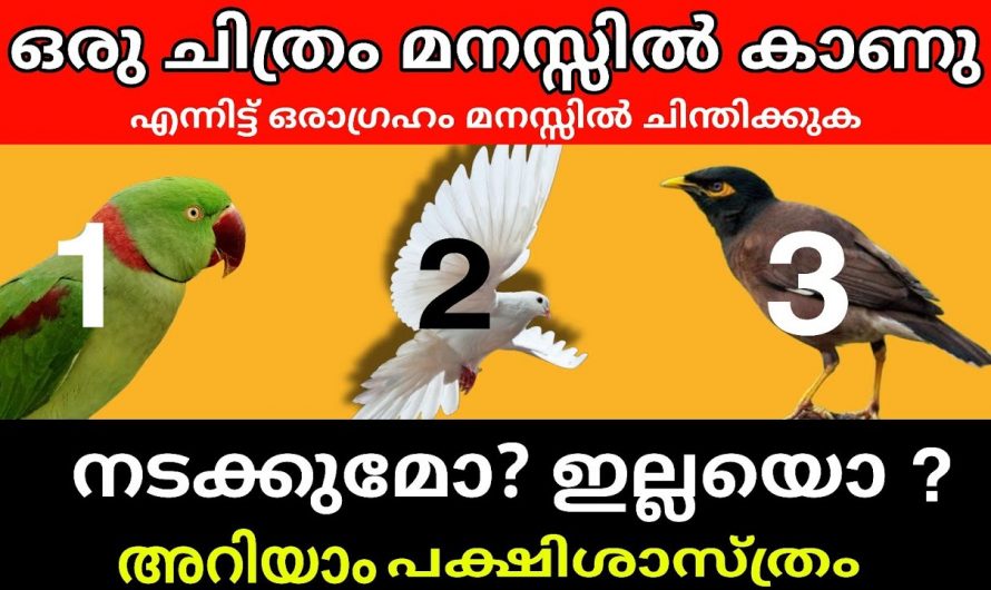 നമ്മുടെ ജീവിതത്തിൽ സംഭവിക്കാൻ പോകുന്നത് അറിയണോ…👌